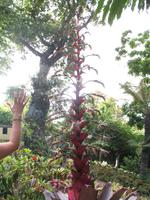 Botanische Garten 