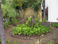 Botanische Garten 