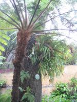 Botanische Garten 