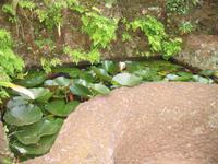 Botanische Garten 