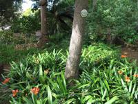 Botanische Garten 