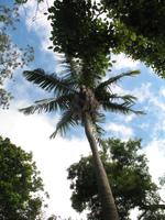 Botanische Garten 