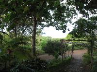 Botanische Garten 