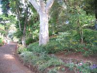 Botanische Garten 