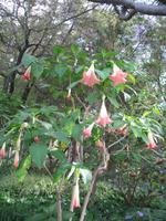 Botanische Garten 
