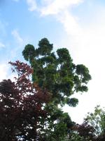 Botanische Garten 