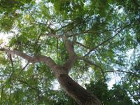 Botanische Garten 