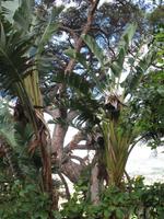 Botanische Garten 