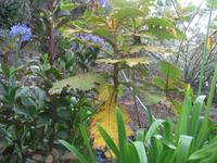 Botanische Garten 