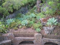 Botanische Garten 