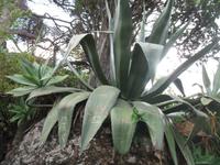 Botanische Garten 