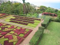 Botanische Garten 