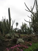 Botanische Garten 