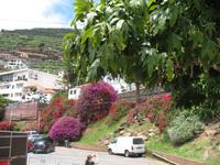 Câmara de Lobos &ndash; &copy; Stefanie Knisse (Eberhardt TRAVEL)