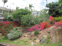 Câmara de Lobos &ndash; &copy; Stefanie Knisse (Eberhardt TRAVEL)