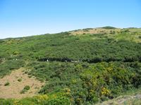 Wanderung Levada do Paul &ndash; &copy; Stefanie Knisse (Eberhardt TRAVEL)