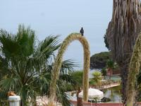 Madeira, Canico, Qinta Splendida &ndash; &copy; Ria Heilmann (Eberhardt TRAVEL)