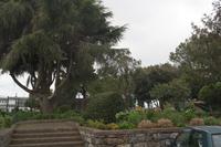 1.Tag Camacha, Park &ndash; &copy; Detlef May (Eberhardt TRAVEL)