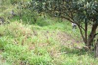 2. Tag Wanderung 
