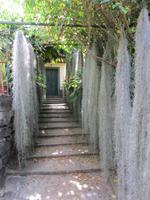Quinta Boa Vista  &ndash; &copy; Arne Schlösser (Eberhardt TRAVEL)