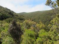 Levada-Wanderung  &ndash; &copy; Arne Schlösser (Eberhardt TRAVEL)