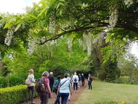 Madeira, Funchal, Palheiro Garden &ndash; &copy; Ria Heilmann (Eberhardt TRAVEL)