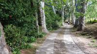 Madeira, Funchal, Palheiro Garden &ndash; &copy; Ria Heilmann (Eberhardt TRAVEL)