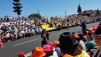Madeira, Funchal, Blumenfest