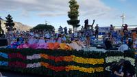 Madeira, Funchal, Blumenfest &ndash; &copy; Ria Heilmann (Eberhardt TRAVEL)