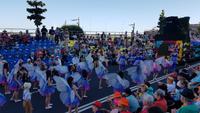 Madeira, Funchal, Blumenfest &ndash; &copy; Ria Heilmann (Eberhardt TRAVEL)