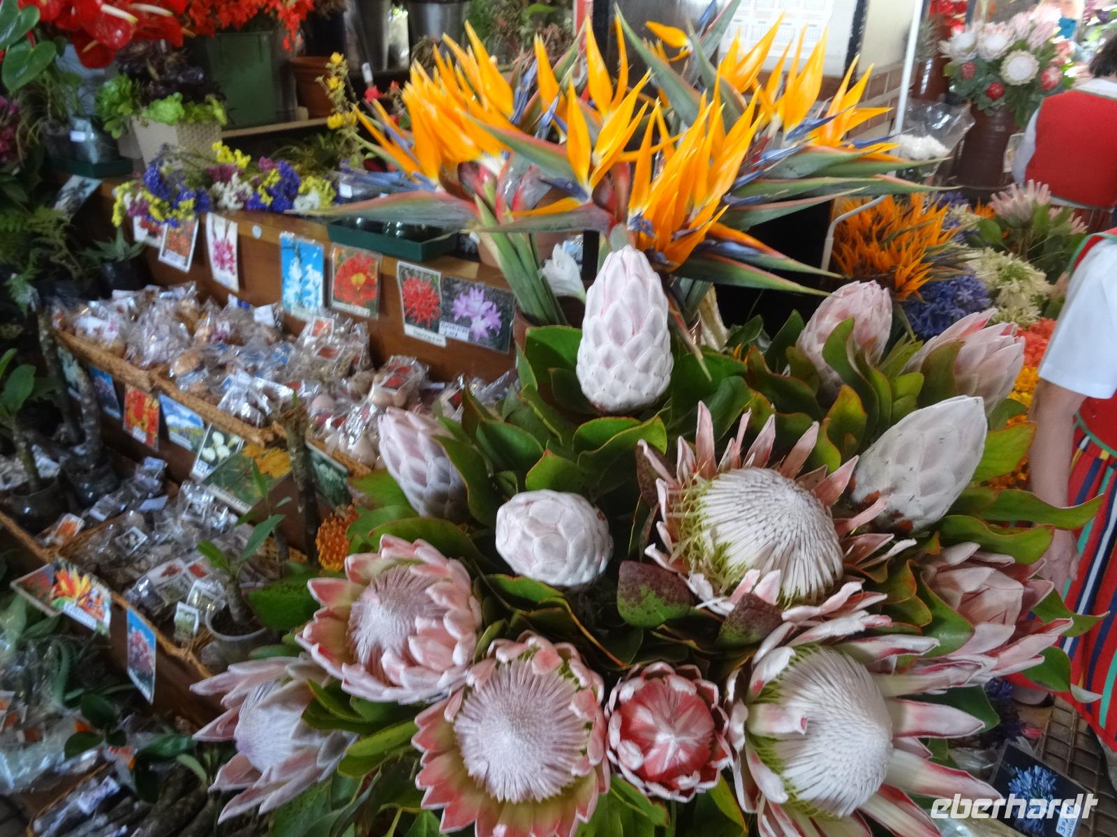 Markthalle Funchal &ndash; &copy; Hans-Joachim Trutz (Eberhardt TRAVEL)