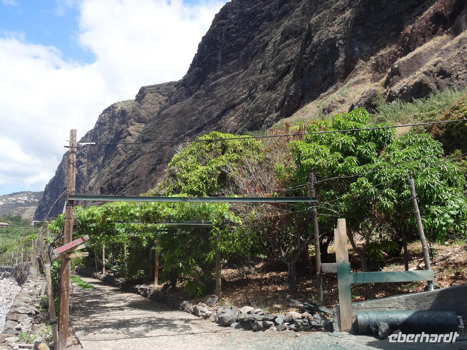 Faja dos Padres  &ndash; &copy; Hans-Joachim Trutz (Eberhardt TRAVEL)