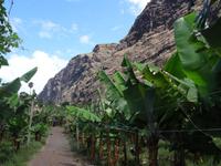 Faja dos Padres  &ndash; &copy; Hans-Joachim Trutz (Eberhardt TRAVEL)
