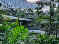 Flughafen Singapur - Jewel (Indoor-Wasserfall Rain Vortex) &ndash; &copy; Katrin Deutschbein (Eberhardt TRAVEL)