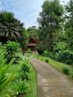 Mutiara Taman Negara Resort &ndash; &copy; Katrin Deutschbein (Eberhardt TRAVEL)