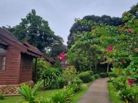 Mutiara Taman Negara Resort &ndash; &copy; Katrin Deutschbein (Eberhardt TRAVEL)