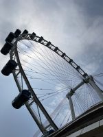 Singapore Flyer &ndash; &copy; Leon Prinz (Eberhardt TRAVEL)
