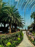 Cloud Forest &ndash; &copy; Leon Prinz (Eberhardt TRAVEL)