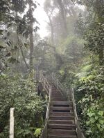 Mossy Forest &ndash; &copy; Leon Prinz (Eberhardt TRAVEL)