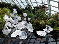 Cloud Forest, Singapur &ndash; &copy; Julian Bartsch (Eberhardt TRAVEL)