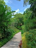 Singapur - Botanischer Garten &ndash; &copy; Johanna König (Eberhardt TRAVEL)