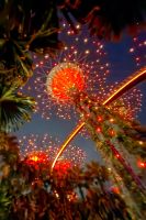 Supertrees &ndash; &copy; Simone Willner (Eberhardt TRAVEL)