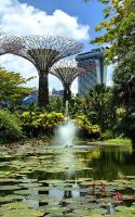 Die Supertrees, Gardens by the Bay &ndash; &copy; Simone Willner (Eberhardt TRAVEL)