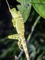 Cham &ndash; &copy; Simone Willner (Eberhardt TRAVEL)