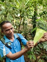 Amer zeigt uns, wie man im Urwald überlebt &ndash; &copy; Simone Willner (Eberhardt TRAVEL)