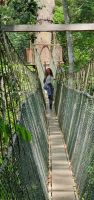 Reisebegleiterin Simone auf dem Canopee Walk im Taman Negara Nationalpark &ndash; &copy; Simone Willner (Eberhardt TRAVEL)