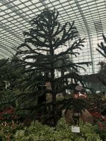Gardens By The Bay &ndash; &copy; Alexander Behling (Eberhardt TRAVEL)