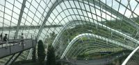 Gardens By The Bay &ndash; &copy; Alexander Behling (Eberhardt TRAVEL)