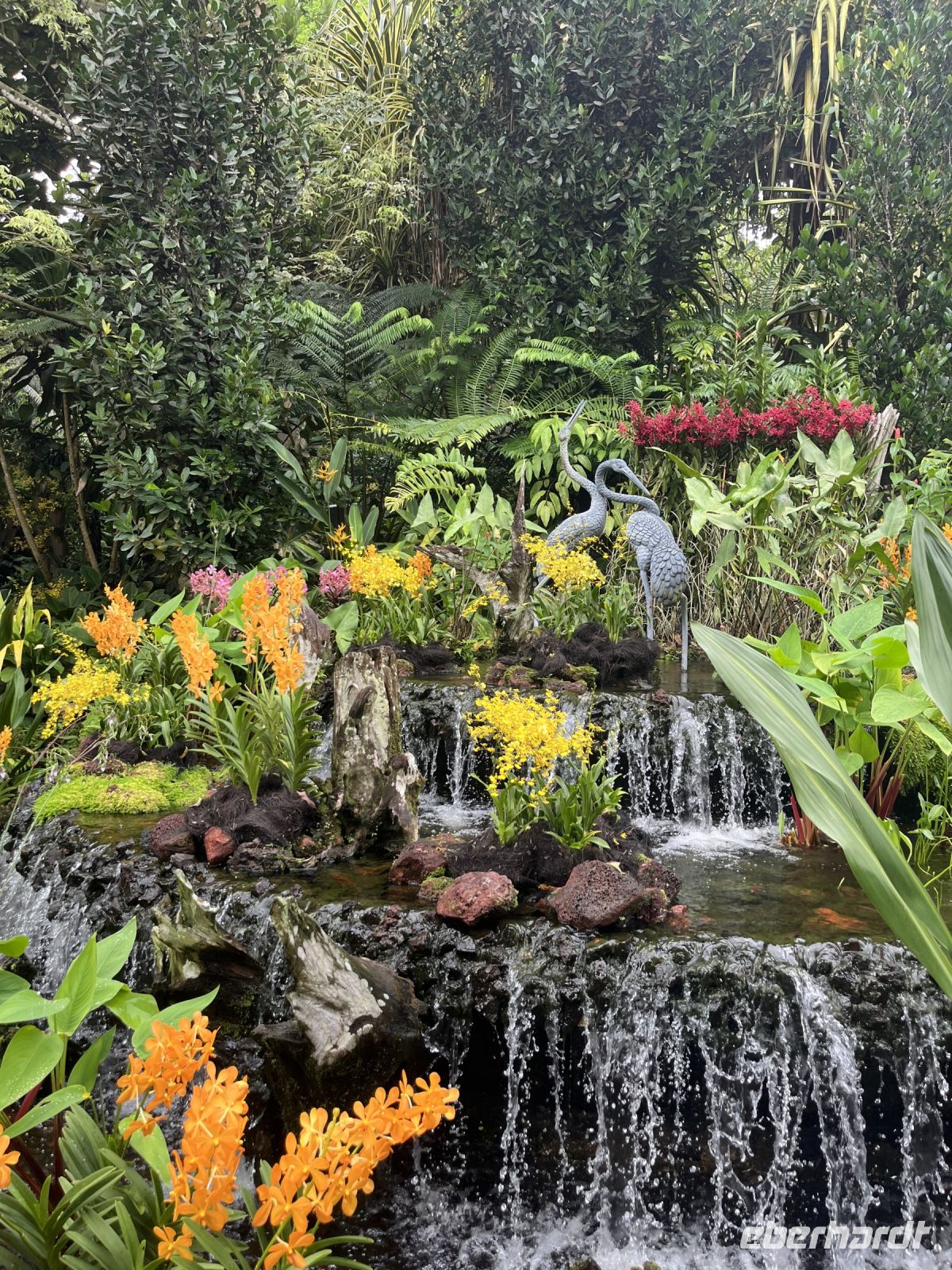Orchideen Garten, Botanischer Garten, Singapur.jpeg &ndash; &copy; Maria Feibig (Eberhardt TRAVEL)