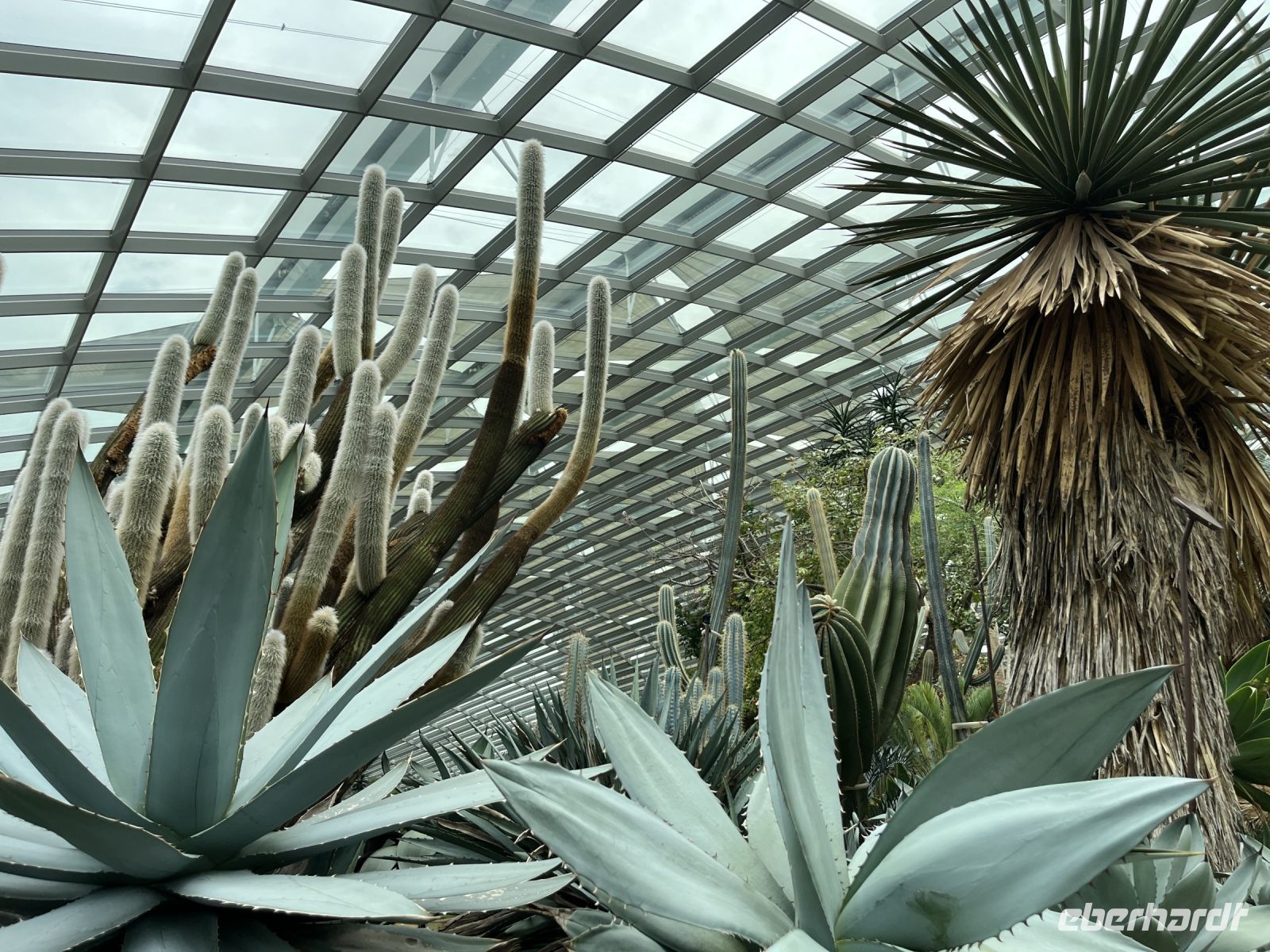 Flower Dome, Gardens by the Bay, Singapur.jpeg &ndash; &copy; Maria Feibig (Eberhardt TRAVEL)